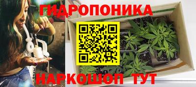 амф Боровичи
