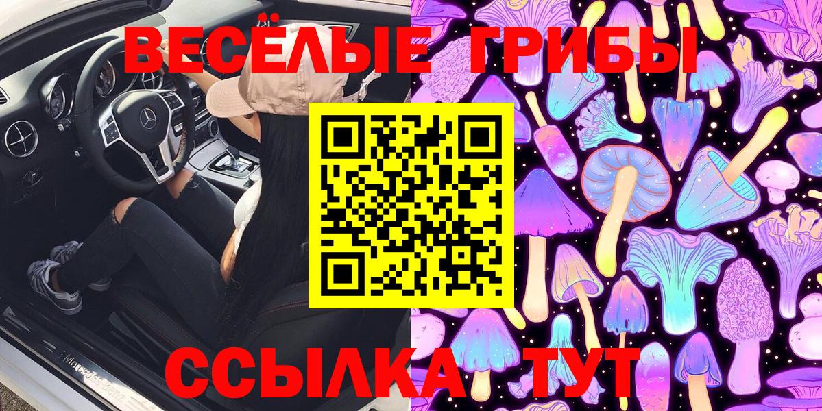 Галлюциногенные грибы Psilocybine cubensis  Вход с VPN  Белорецк 